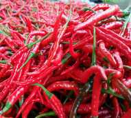 Cabe Merah