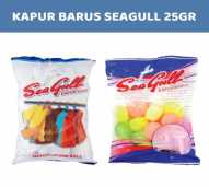 kapur barus 25gr