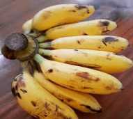 pisang lilin